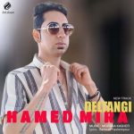 حامد میرا – دلتنگی
